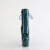 Pleaser ADORE-1020GP Stivaletti Con Plateau Vernice Glitter Blu Verde EU-35 / US-5