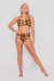 AMBR Designs Shorts Super Sgambati Fierce