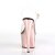Pleaser Sandali ADORE-708 Trasparente/Dorato Rosa Cromato EU-36 / US-6