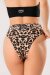 Shark Polewear Shorts Bali Leopardo M