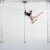 Lupit Pole Studio Champion Pole Acciaio Inossidabile 45 mm