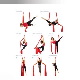 Libro: Silks Bible - 1a Edizione - Inglese