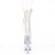 Pleaser ADORE-1050C Stivaletti con Plateau Trasparente