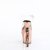 Pleaser RAPTURE-808-LT Sandali con Plateau Trasparente Dorato Rosa