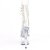 Pleaser ADORE-1021C Stivaletti con Plateau Trasparente EU-36 / US-6