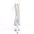 Pleaser ADORE-1021C-2 Stivaletti con Plateau Strass Trasparente EU-39 / US-9