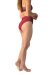 Dragonfly Shorts Molly Rete Borgogna
