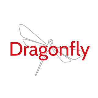 Logo Dragonfly rosso su grigio Dragonfly su sfondo bianco